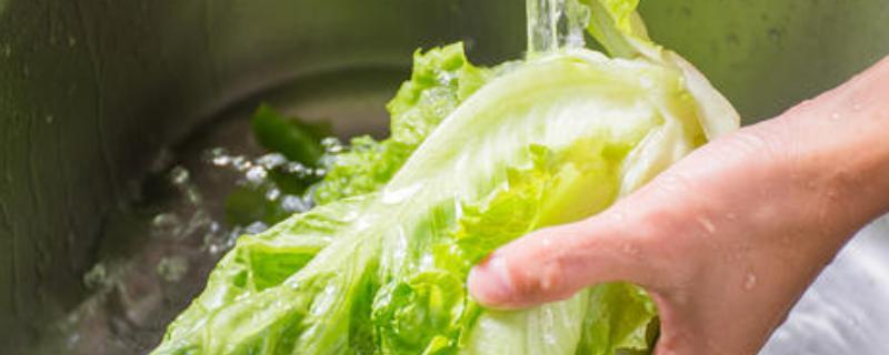 如何在吃生菜之前清洗生菜 生菜打农药吗，吃前怎么洗怎么处理